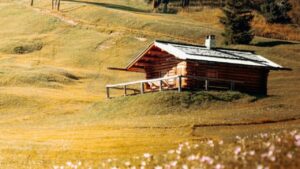 Construction sauvage qui paye les cabanes