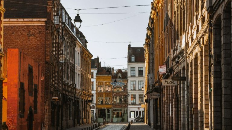 Moulins à Lille